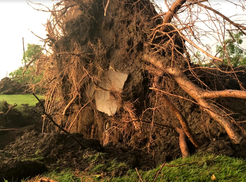 Gallery: Storms leave path of destruction across Minnesota - Bring Me ...