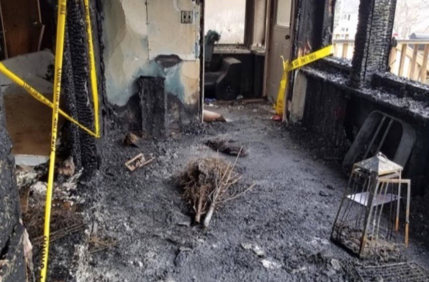 Cancer patient loses her two dogs, home in devastating fire - Bring Me ...