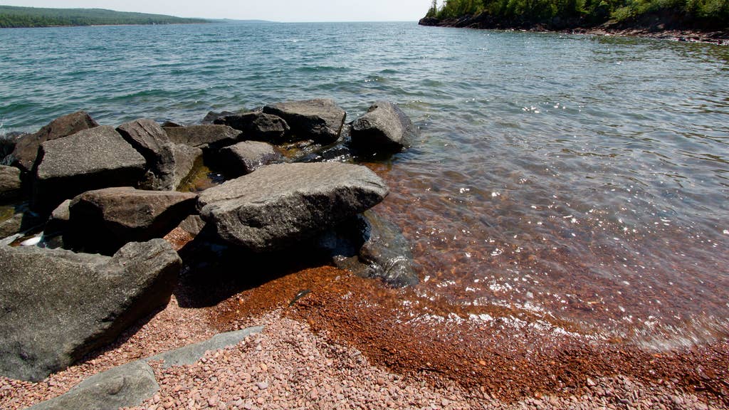 5 Minnesota lakes get nominated among the nation's best for travelers