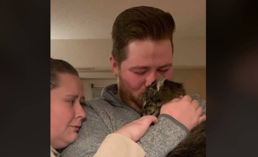 Cat missing for more than a year was living in a Fleet Farm 45 miles ...