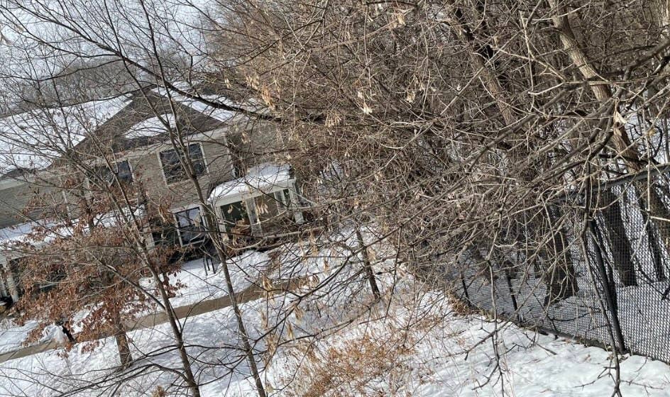 Woman found dead in St. Paul basement after apparent assault - Bring Me ...