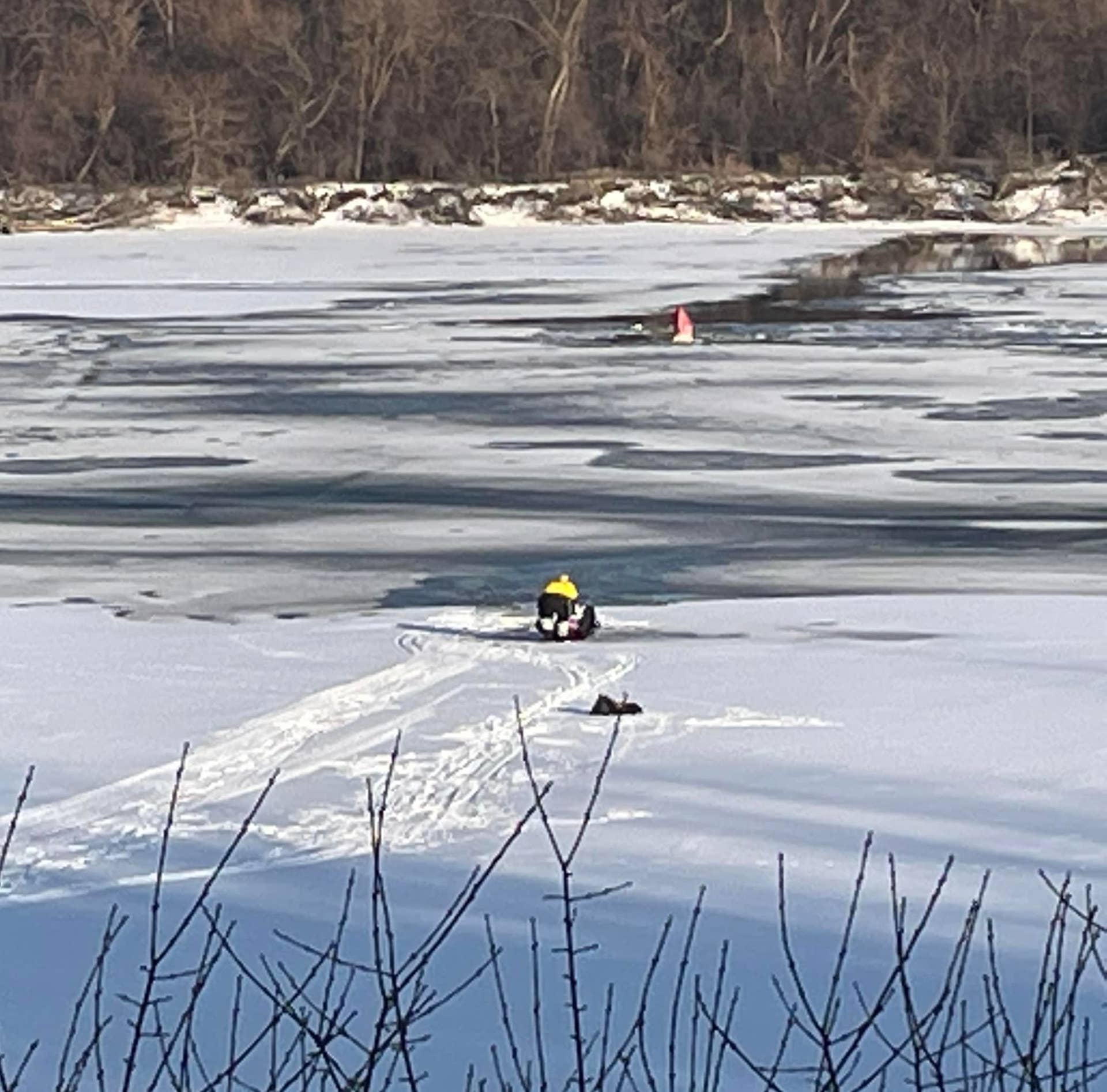 Man, dog rescued after falling through ice on Mississippi River - Bring ...