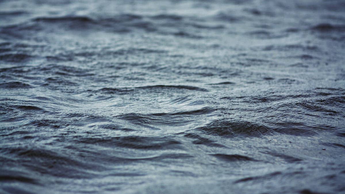 Victims of separate holiday weekend drownings identified as men in their 20s
