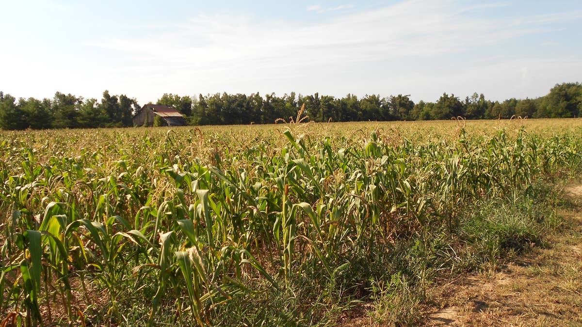 Minnesota's drought is spreading faster than you might think