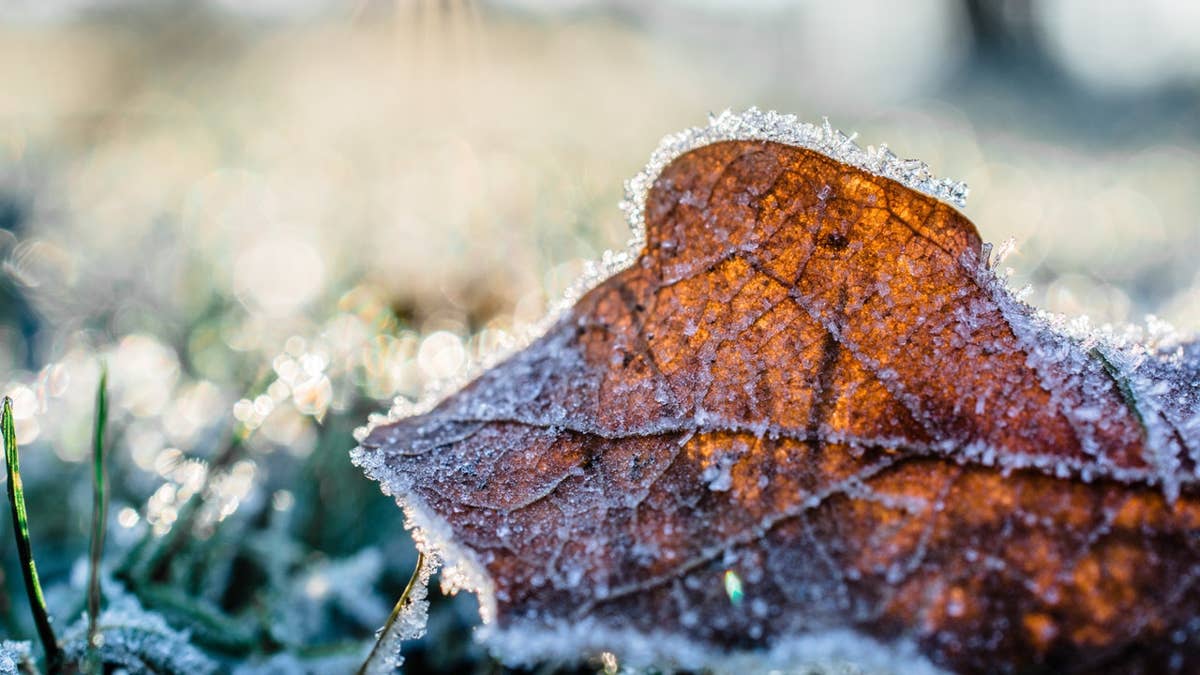 October set to be another warm one for Minnesota, but what about our snow chances?