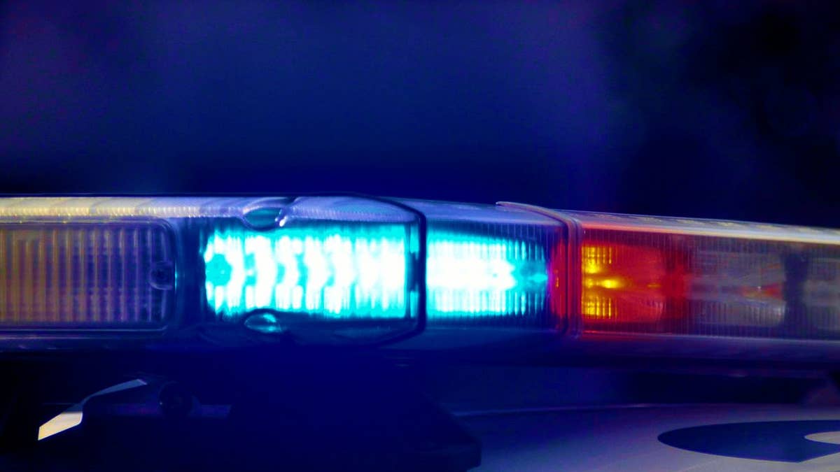 Charges: Driver who caused Faribault head-on crash had 0.349 BAC