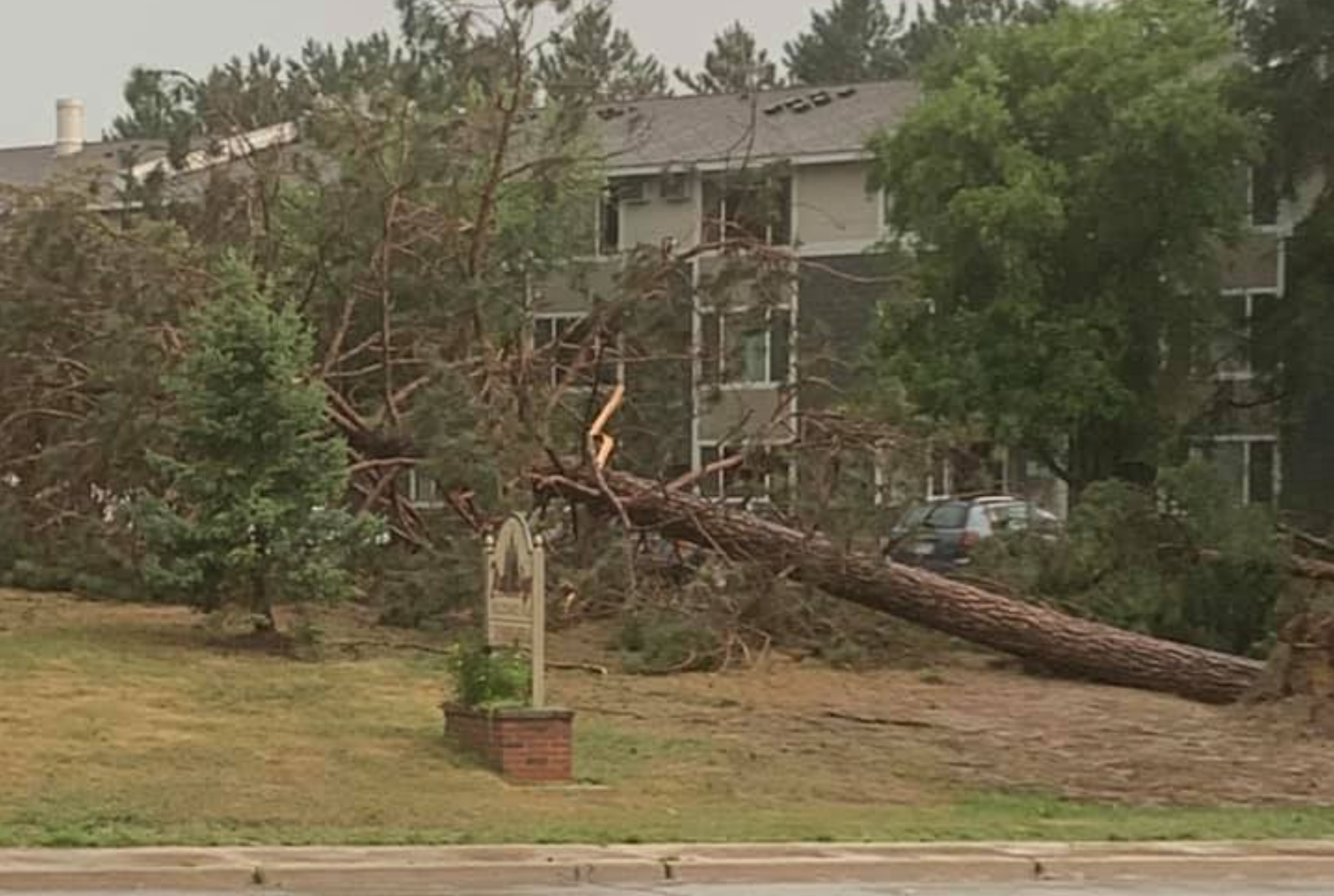 Storm damage reports across northern Minnesota; severe weather possible ...