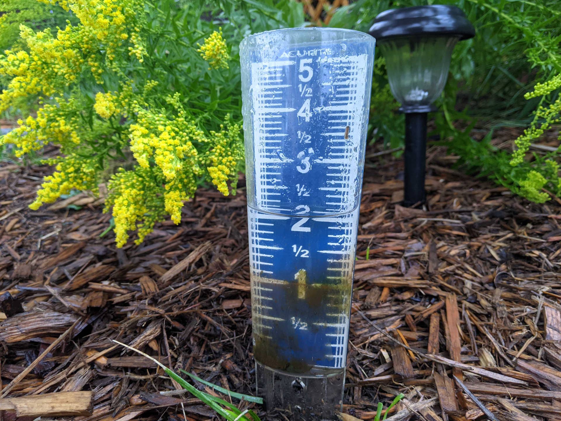 How much rain fell during Sunday's surprise burst? And will it help Minnesota's drought?
