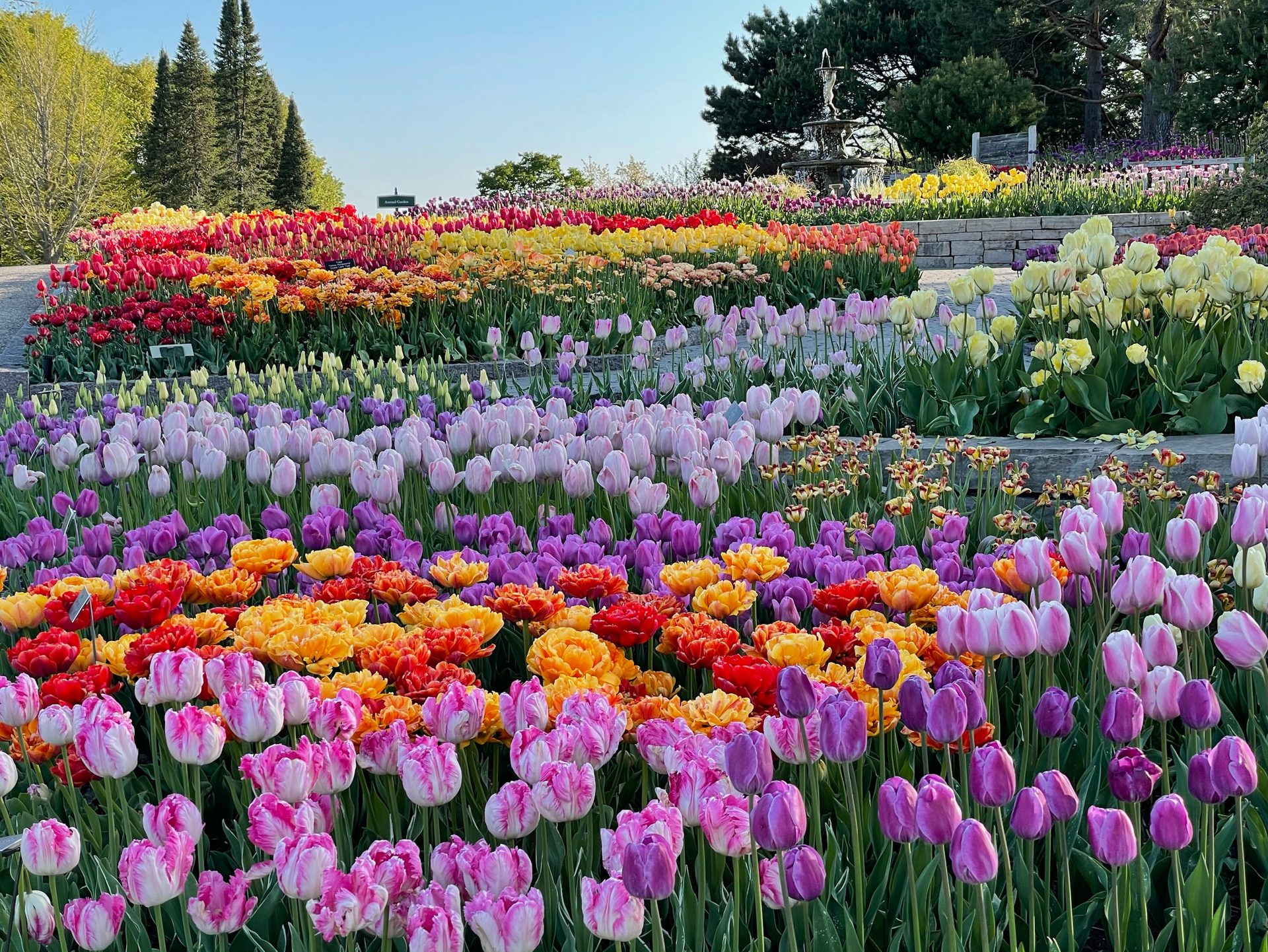 Spring Photo Minnesota Spring ended up hotter and wetter than normal in Minnesota - Bring Me ...