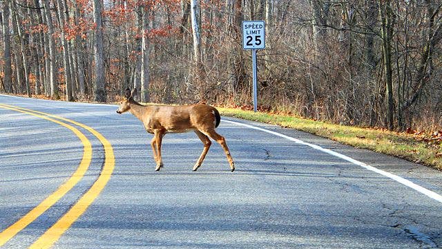 Man dies after his UTV strikes a deer, rolls in rural western Minnesota