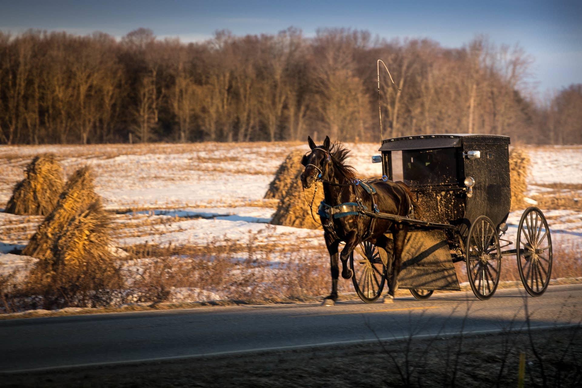 Kasson woman pleads guilty to hit-and-run of Amish buggy that left nine ...