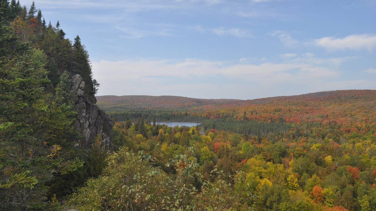 Trump administration moves to open parts of Minnesota's national forests to logging, road construction