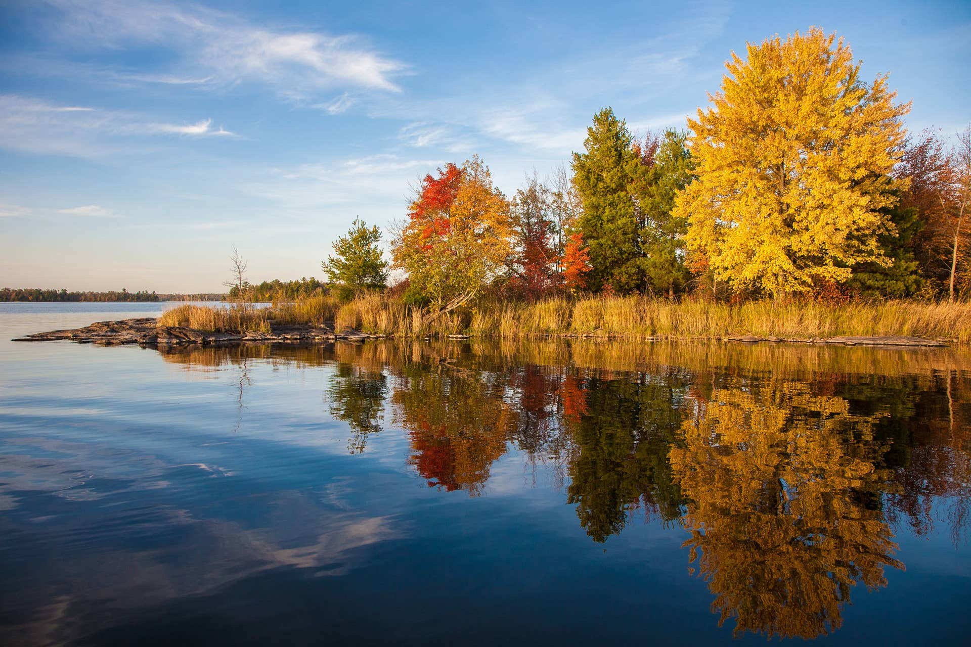 Fall colors should be particularly vibrant in Minnesota this year ...