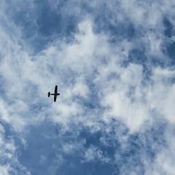 No survivors from small plane crash in Brooklyn Park