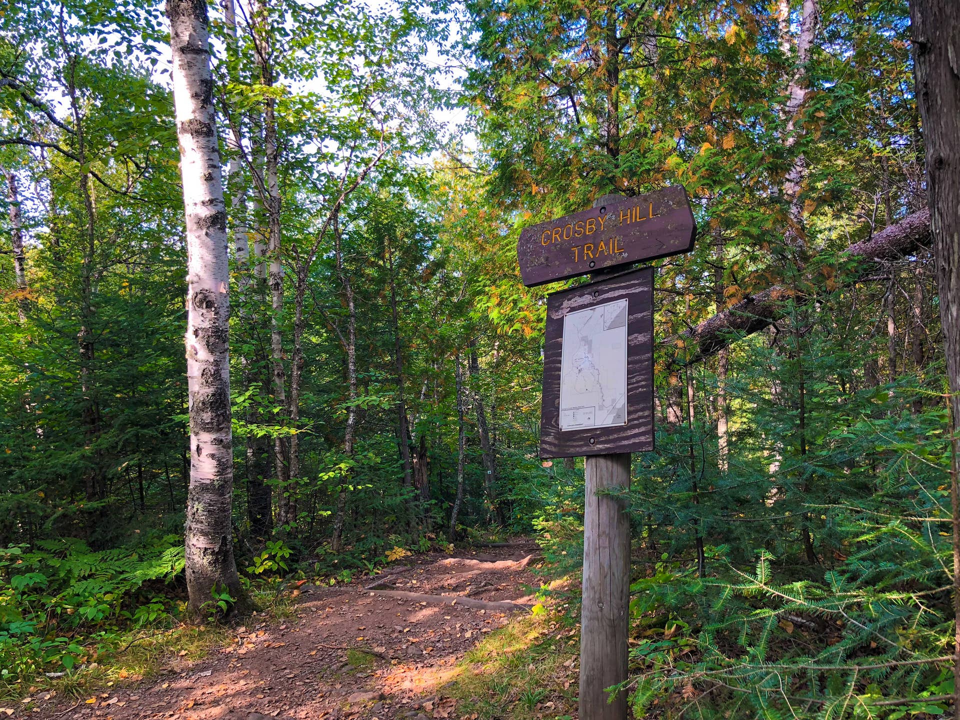 Wildfire breaks out at state park on Minnesota's North Shore - Bring Me ...