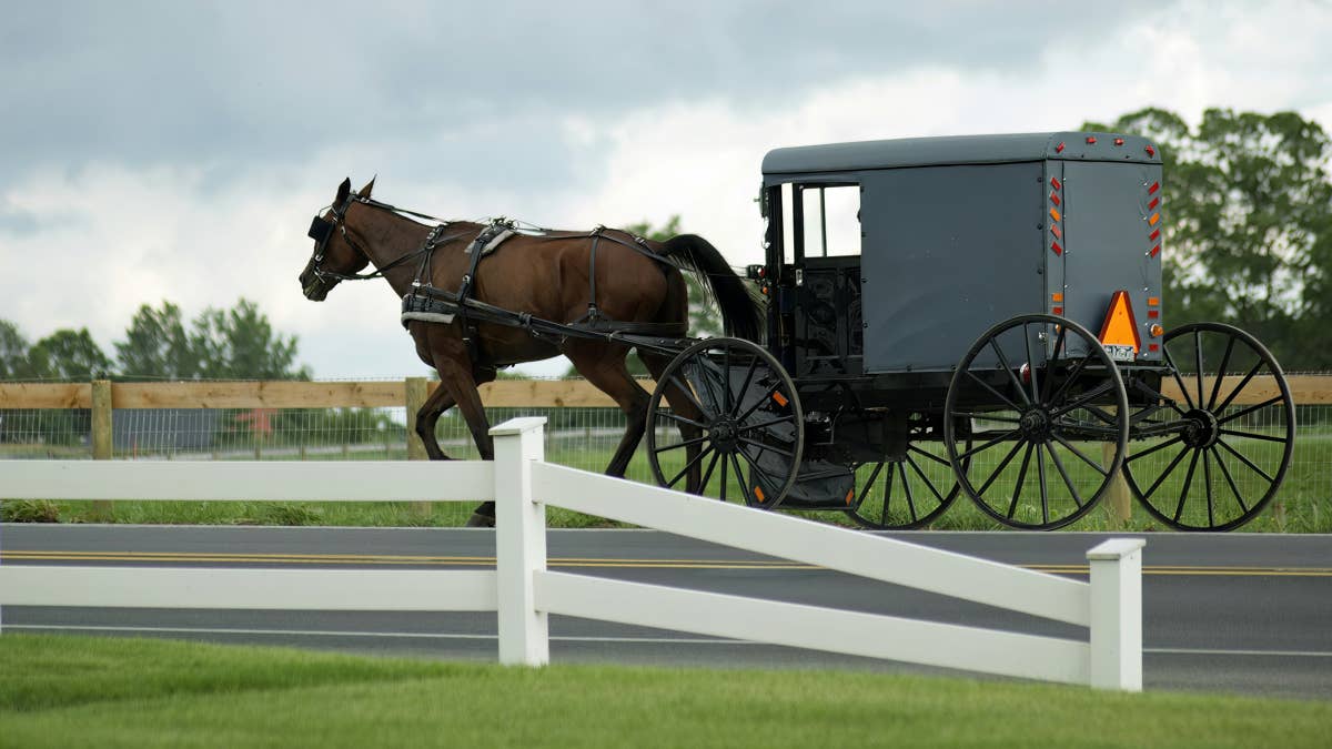Man, baby, toddler injured in crash involving horse-drawn buggy
