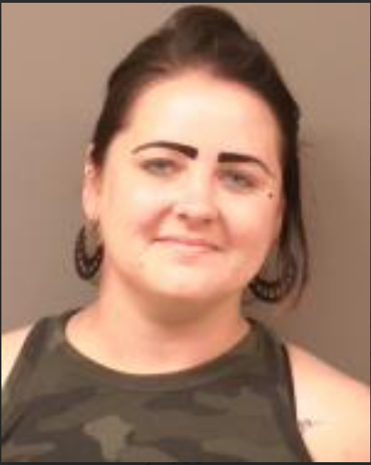 Kasson woman pleads guilty to hit-and-run of Amish buggy that left nine ...