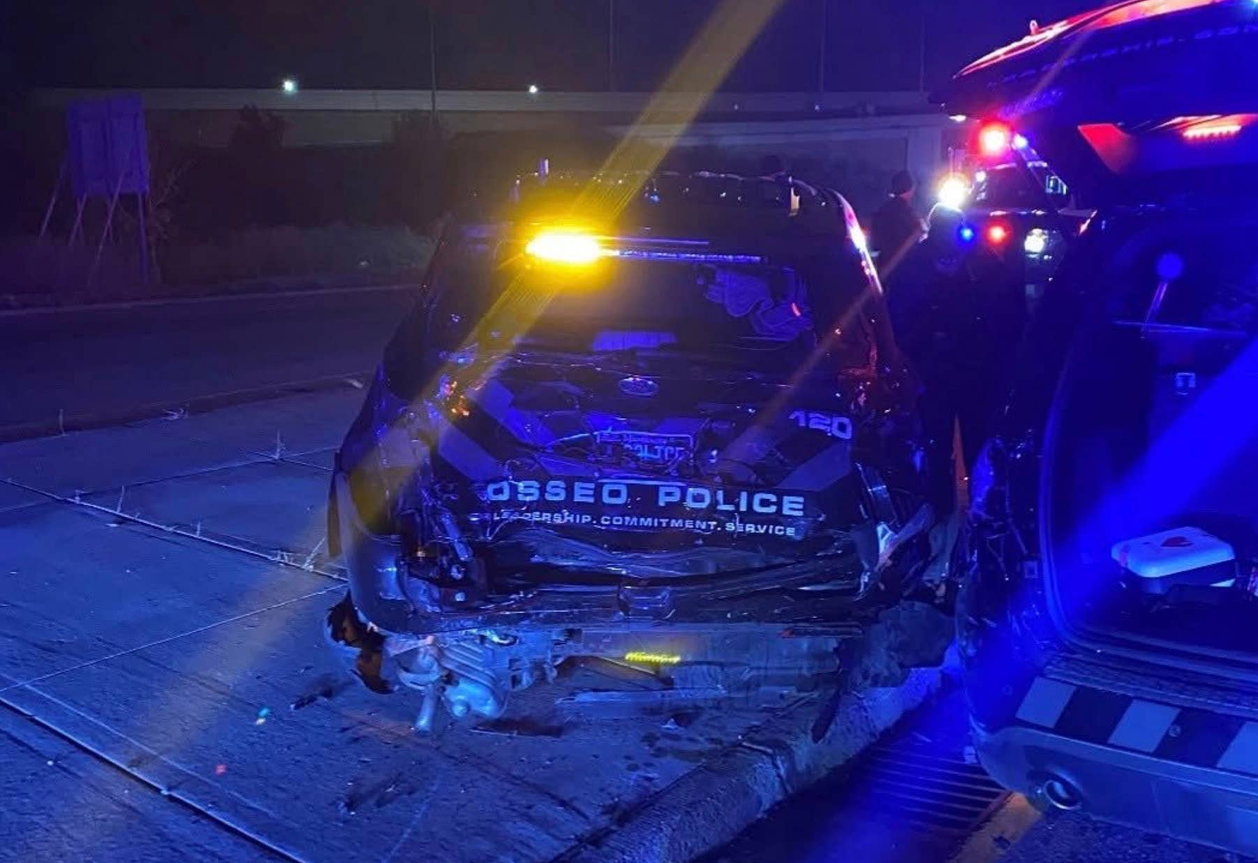 Drunk-driver's SUV bursts into flames after slamming into police ...