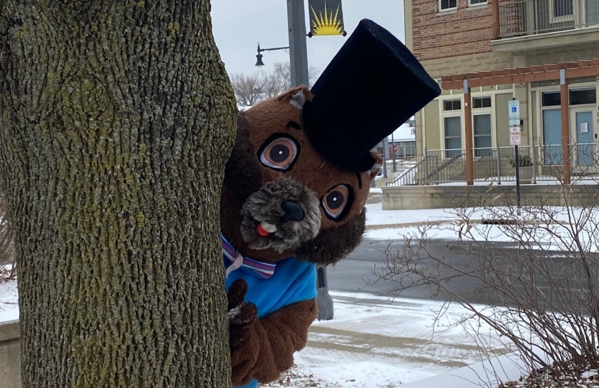 Wisconsin groundhog Jimmy ranked 6th-most accurate rodent forecaster ...