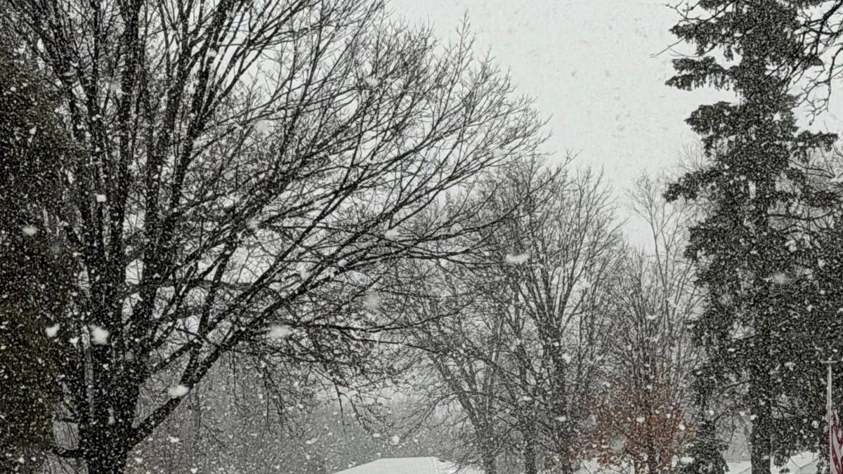 'Super' El Niño looks like a done deal; what it means for Minnesota's autumn and winter