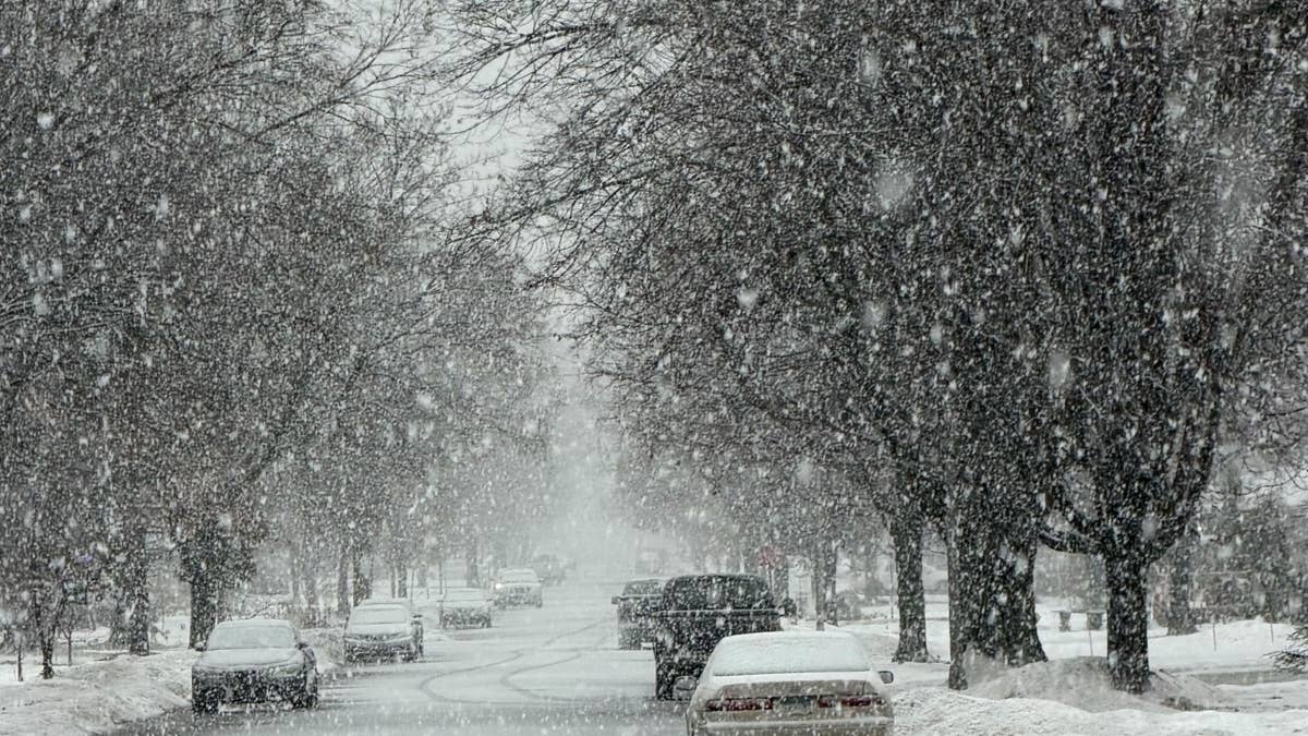 The Farmers' Almanac eyes 'cold, snowy at times' 2026-27 winter for Minnesota