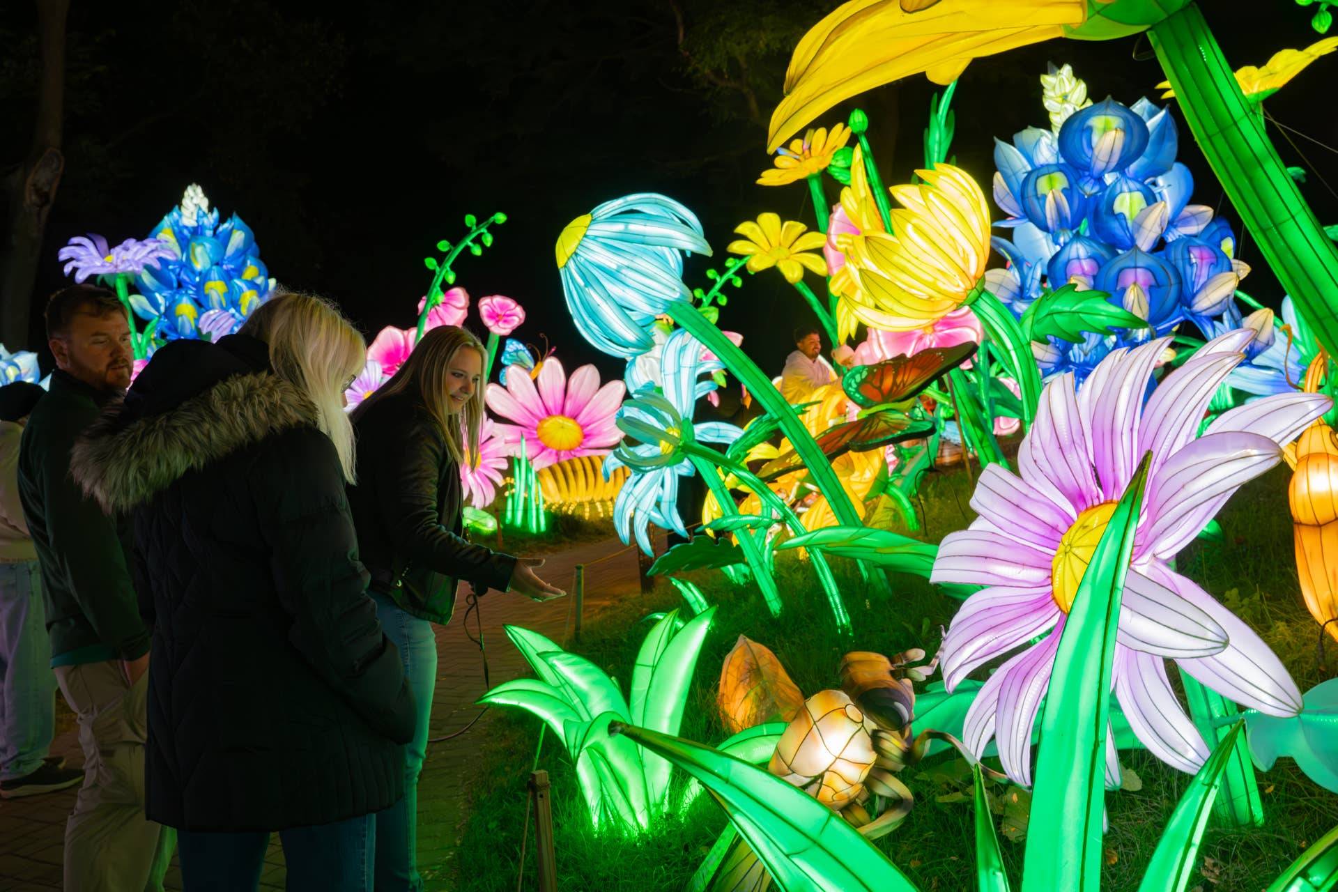 Minnesota Zoo unveils new 'Wanderlight Trail' nighttime attraction ...