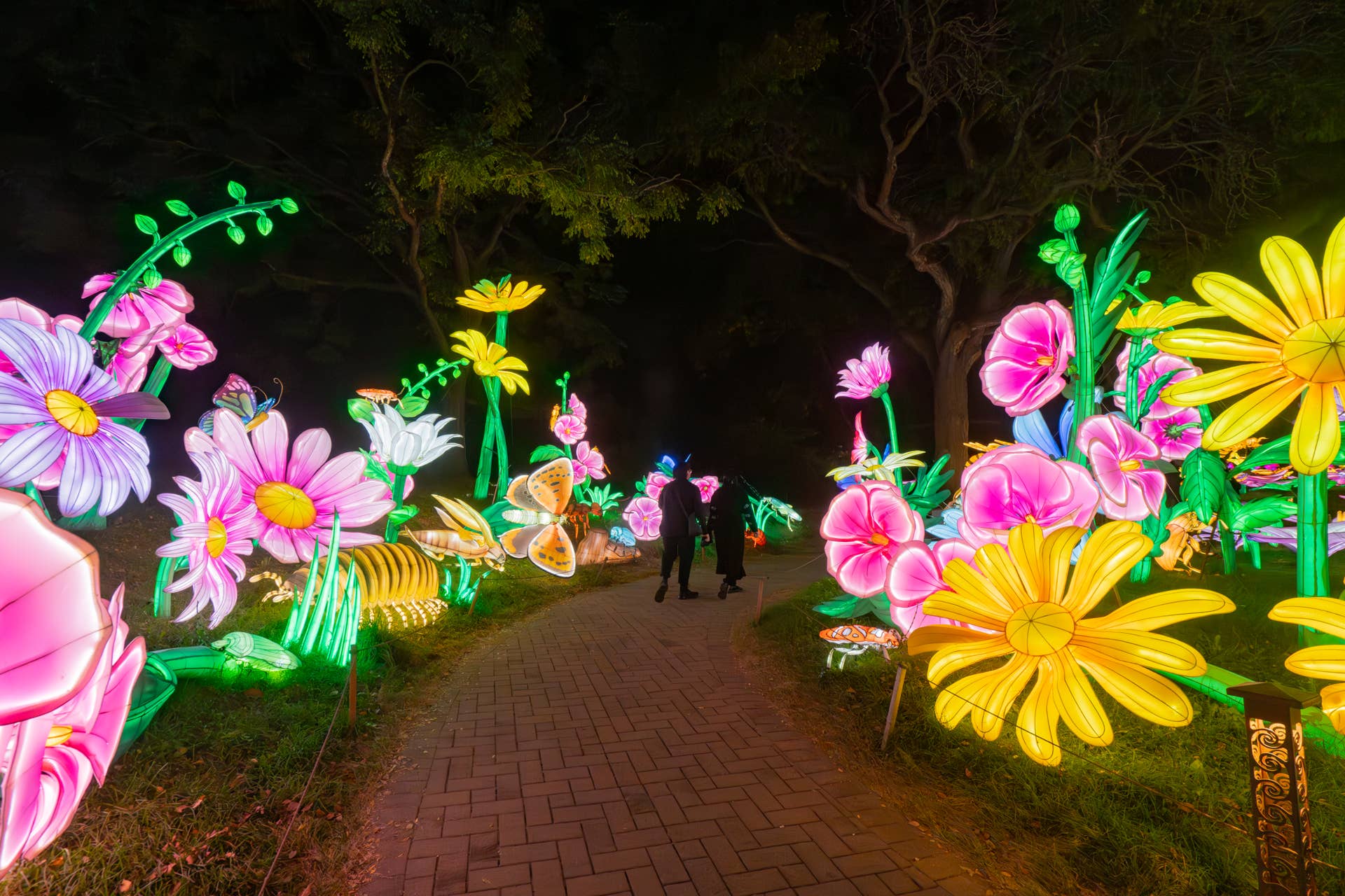 Minnesota Zoo unveils new 'Wanderlight Trail' nighttime attraction ...