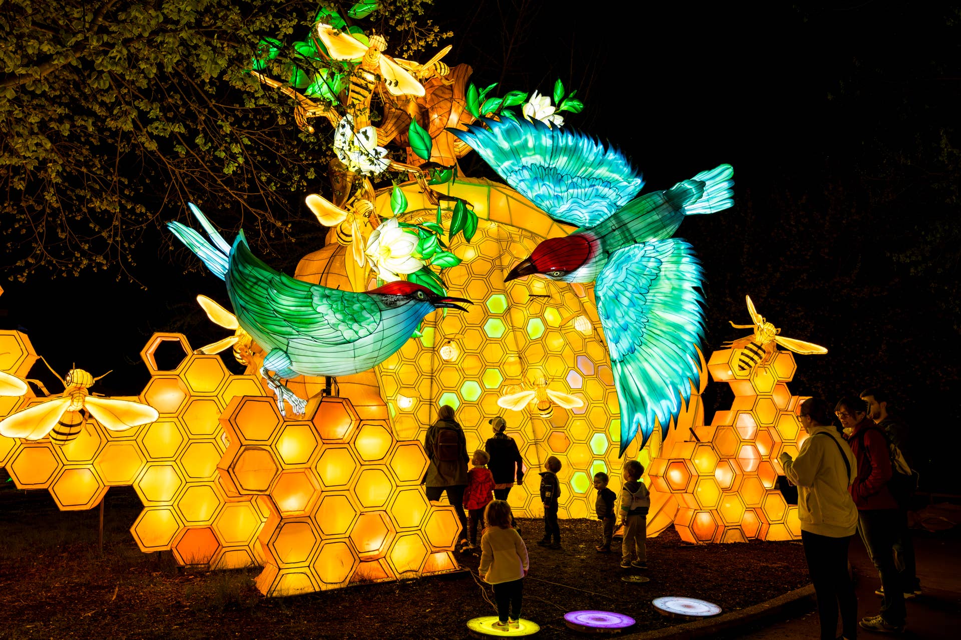 Minnesota Zoo unveils new 'Wanderlight Trail' nighttime attraction ...
