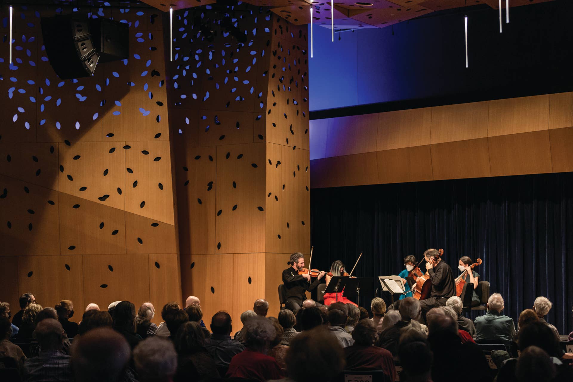 Accordo, super group of Twin Cities string musicians, announces Accordo, super group of Twin Cities string musicians, announces