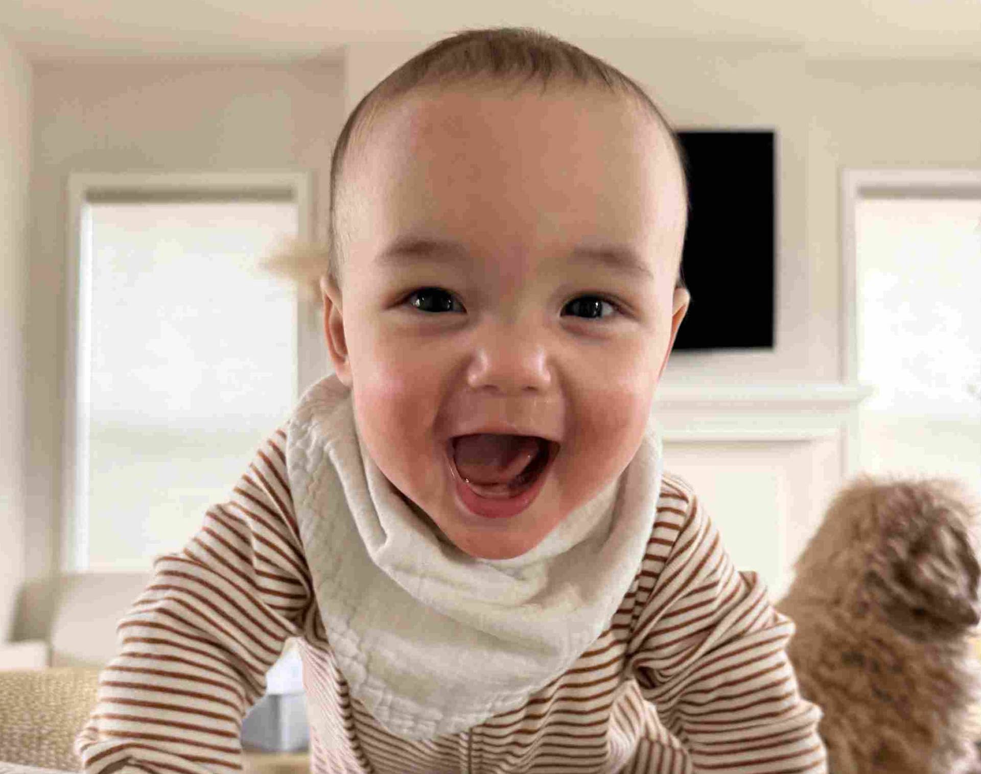 Twin Cities tot is named the 2026 Gerber Baby