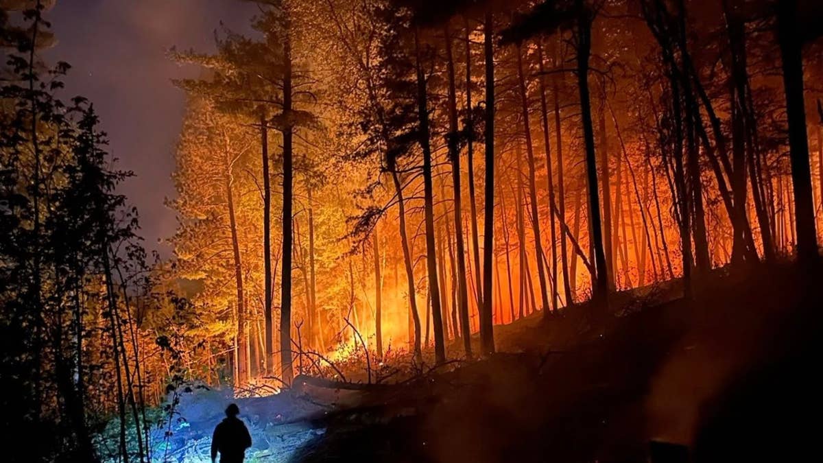 Wildfire that burned 35 acres near Ely was likely started by Forest Service chainsaw