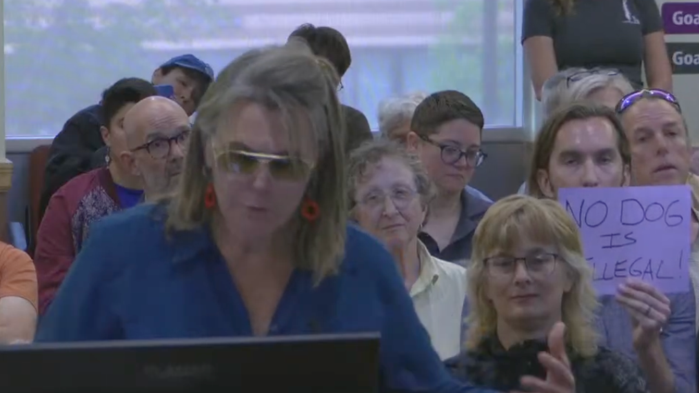 Fiery debate as dog lovers pack Minneapolis meeting ahead of vote on off-leash park
