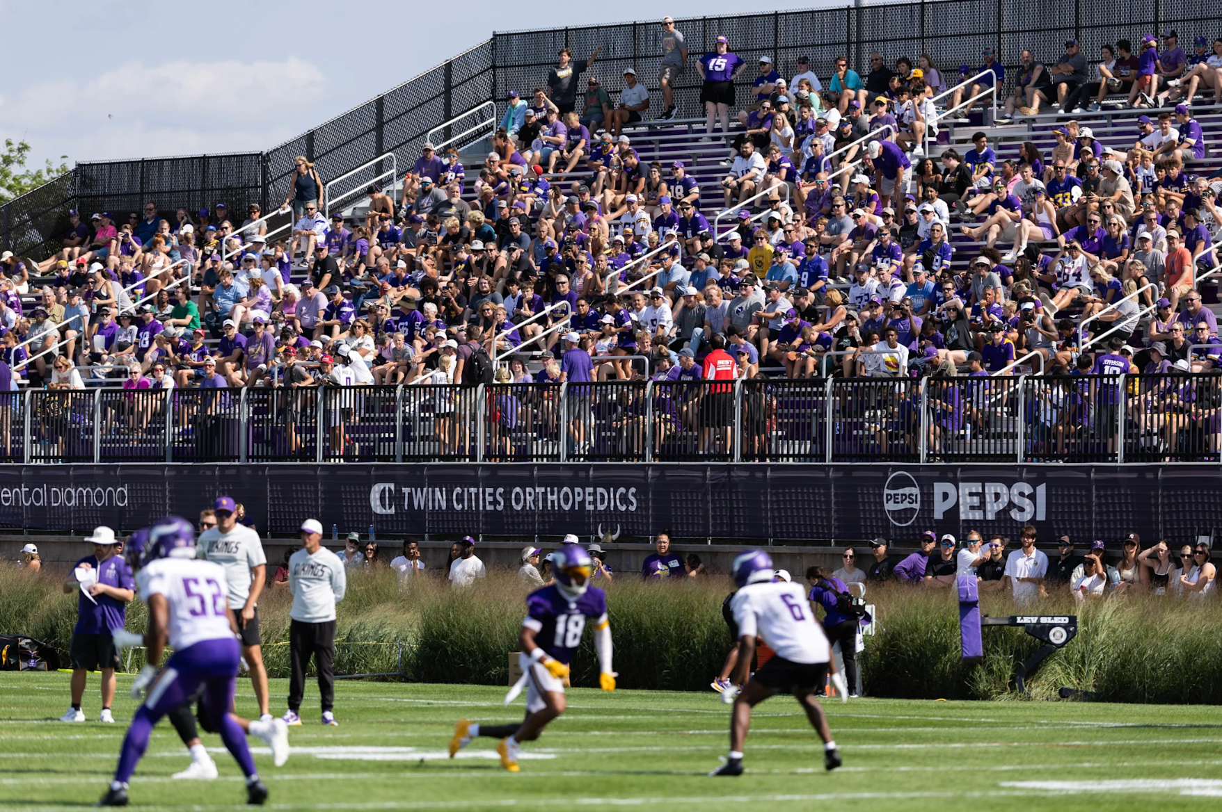 Why the Vikings were right to ban that fan from training camp