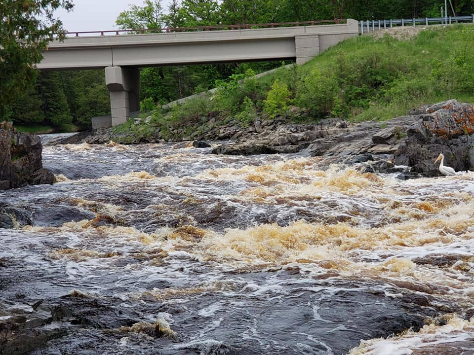 Woman found dead in park on Minnesota-Ontario border