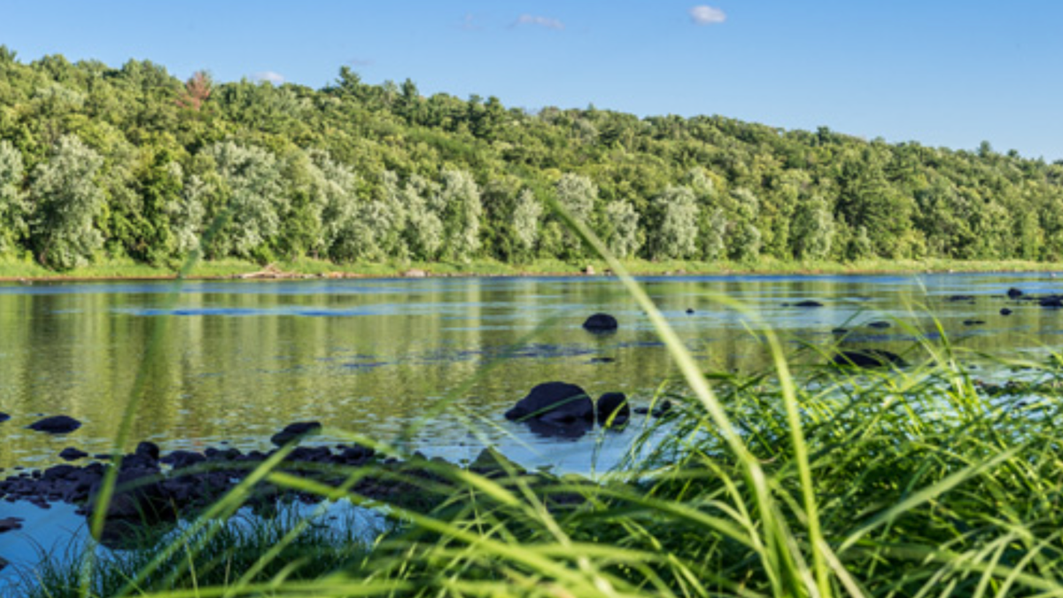 Minnesota man flees deputies into St. Croix River and drowns