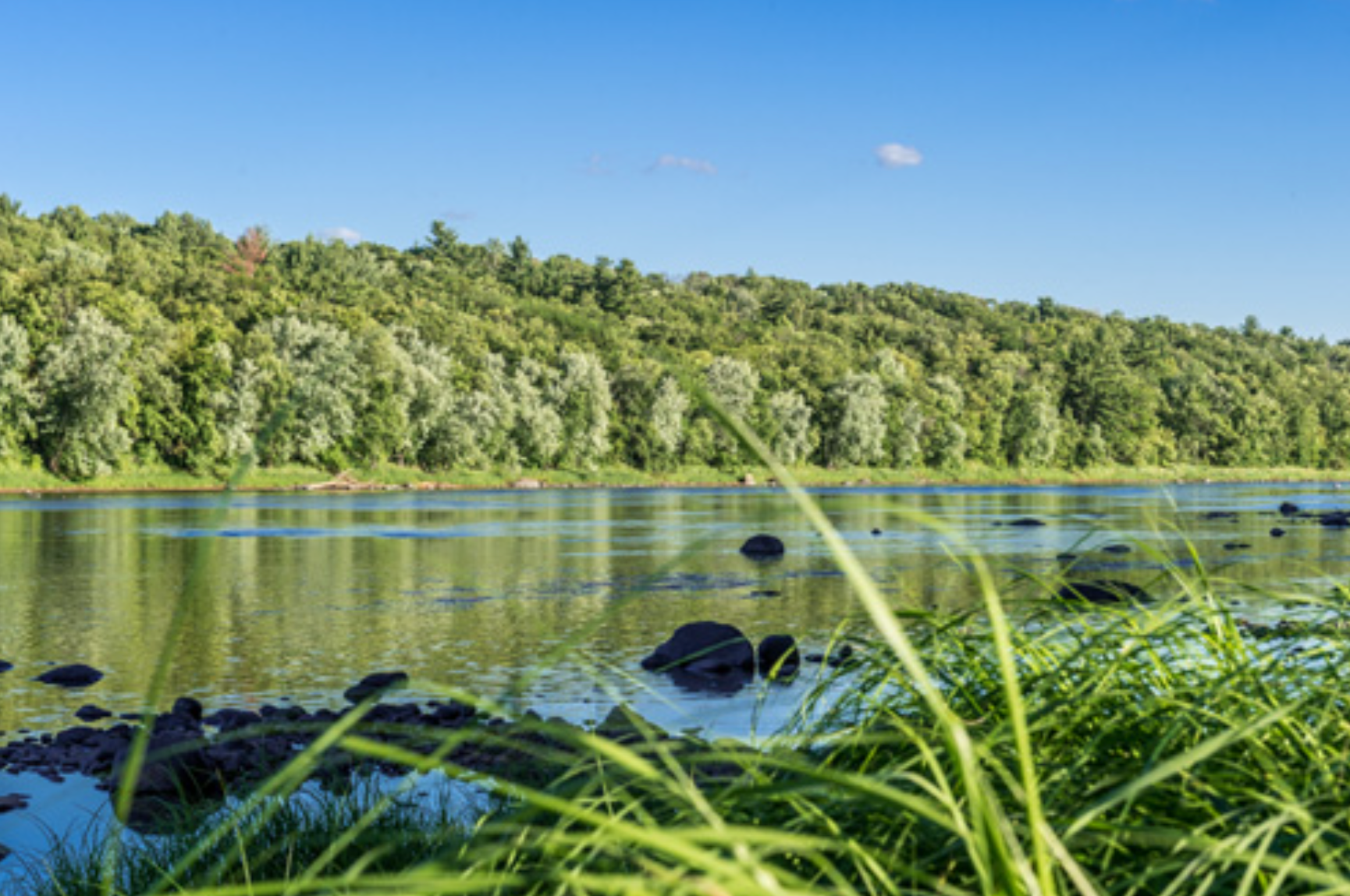 Minnesota man flees deputies into St. Croix River and drowns