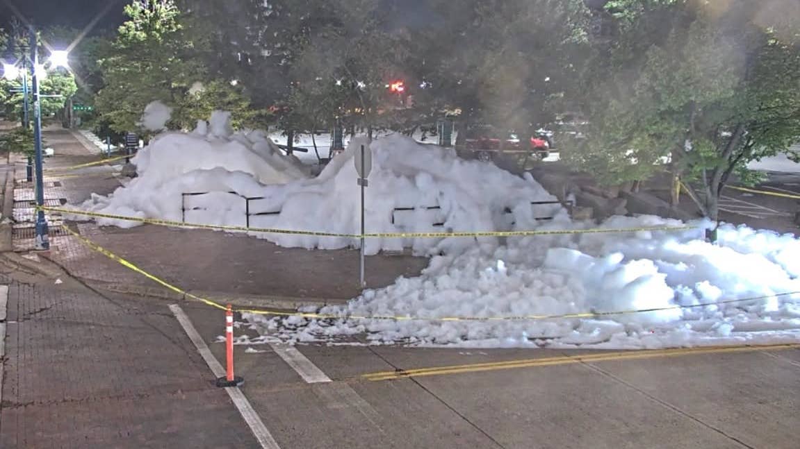 Man cited, 3 more suspects sought after soap prank in Canal Park