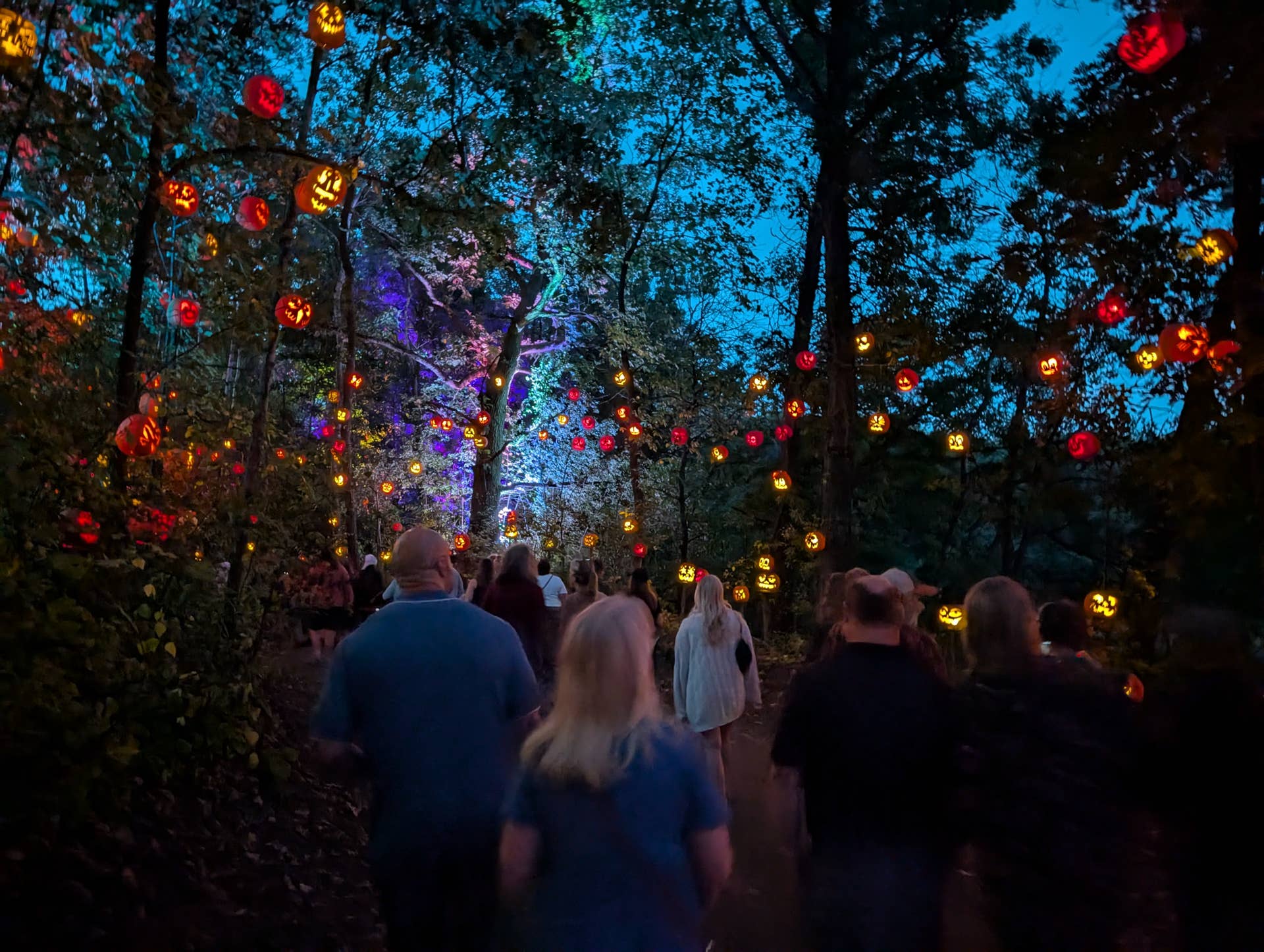 The Minnesota Zoo's artist-crafted Jack-O-Lantern Spectacular