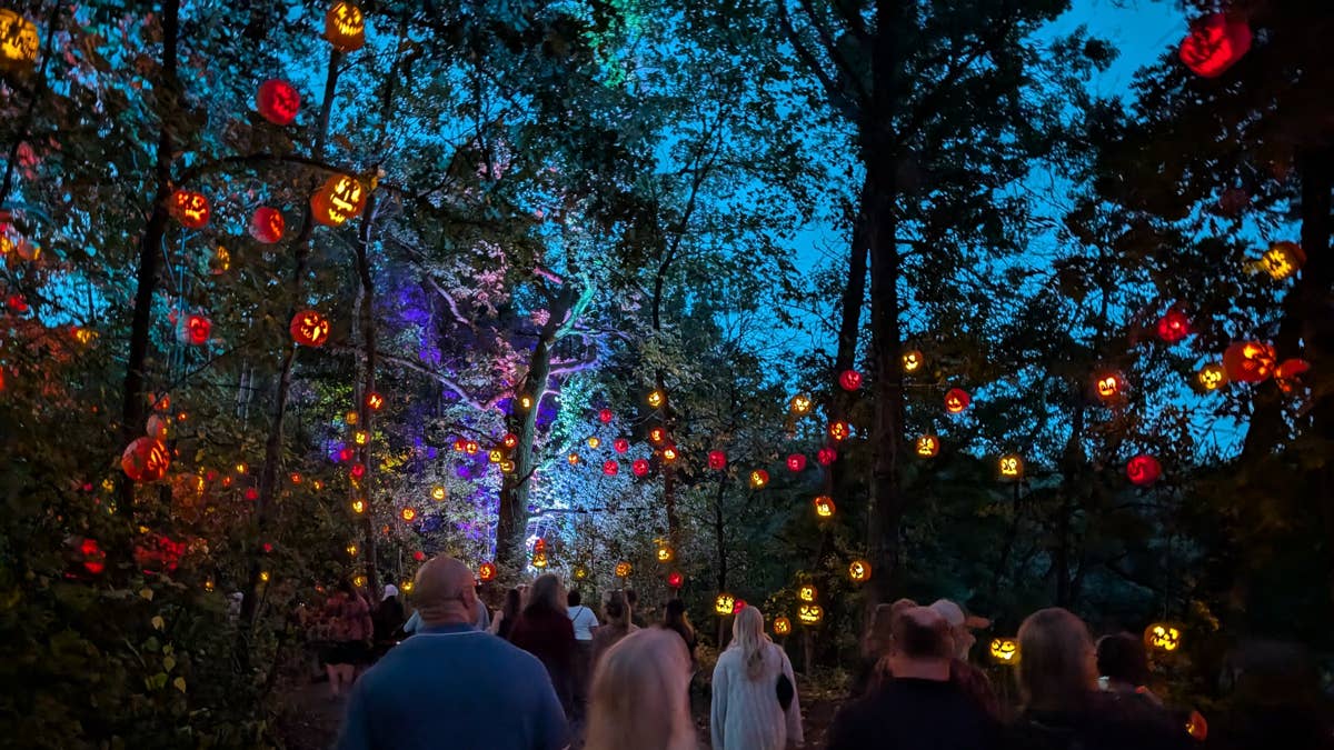 The Minnesota Zoo's artist-crafted Jack-O-Lantern Spectacular returns this month