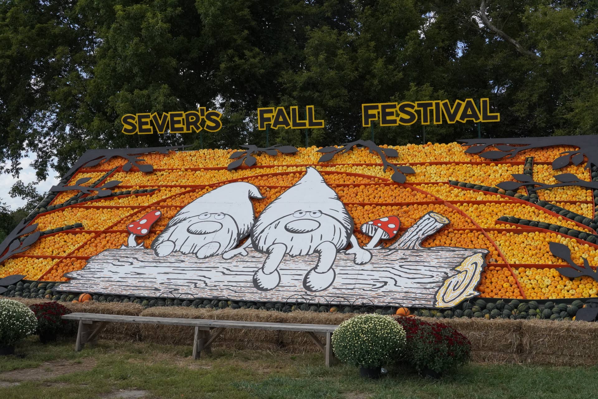 Sever's Fall Festival significantly lowers prices for 2026 - Bring Me ...