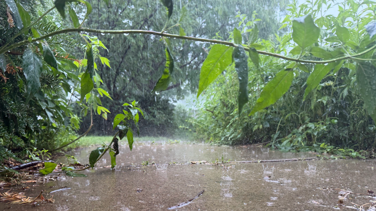Latest models show how much rain could fall in the Twin Cities, rest of Minnesota