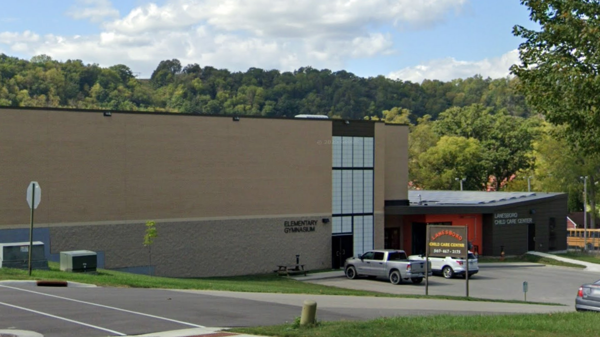 Rabid bat found outside near Minnesota elementary school