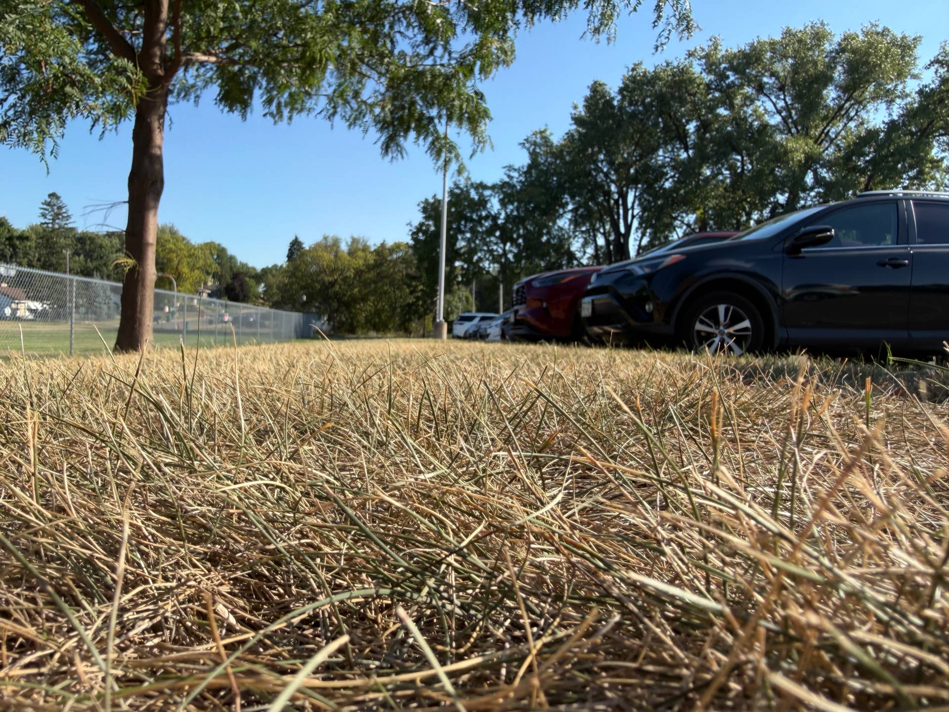 Minnesota just had its 6th-hottest summer in 153 years, and one of its driest