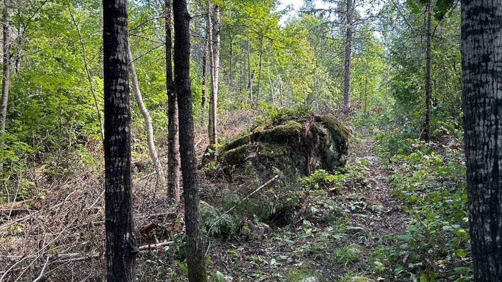 Man found dead on Minnesota hiking trail after becoming separated from family