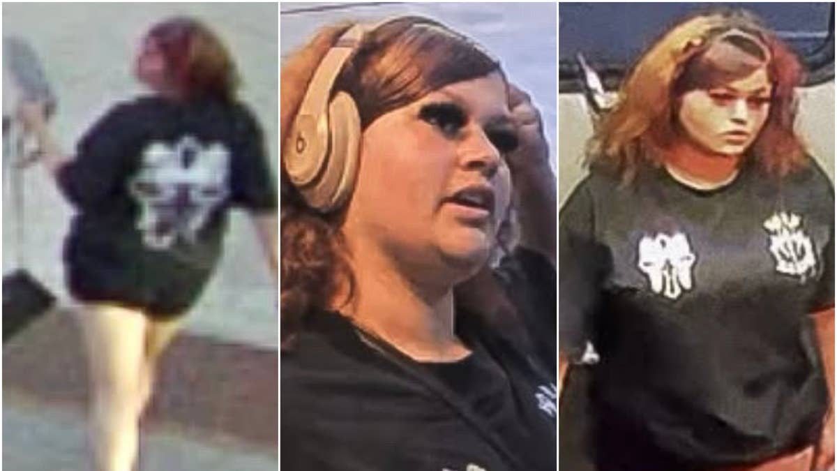 Appeal to identify woman of interest in Minneapolis stabbing