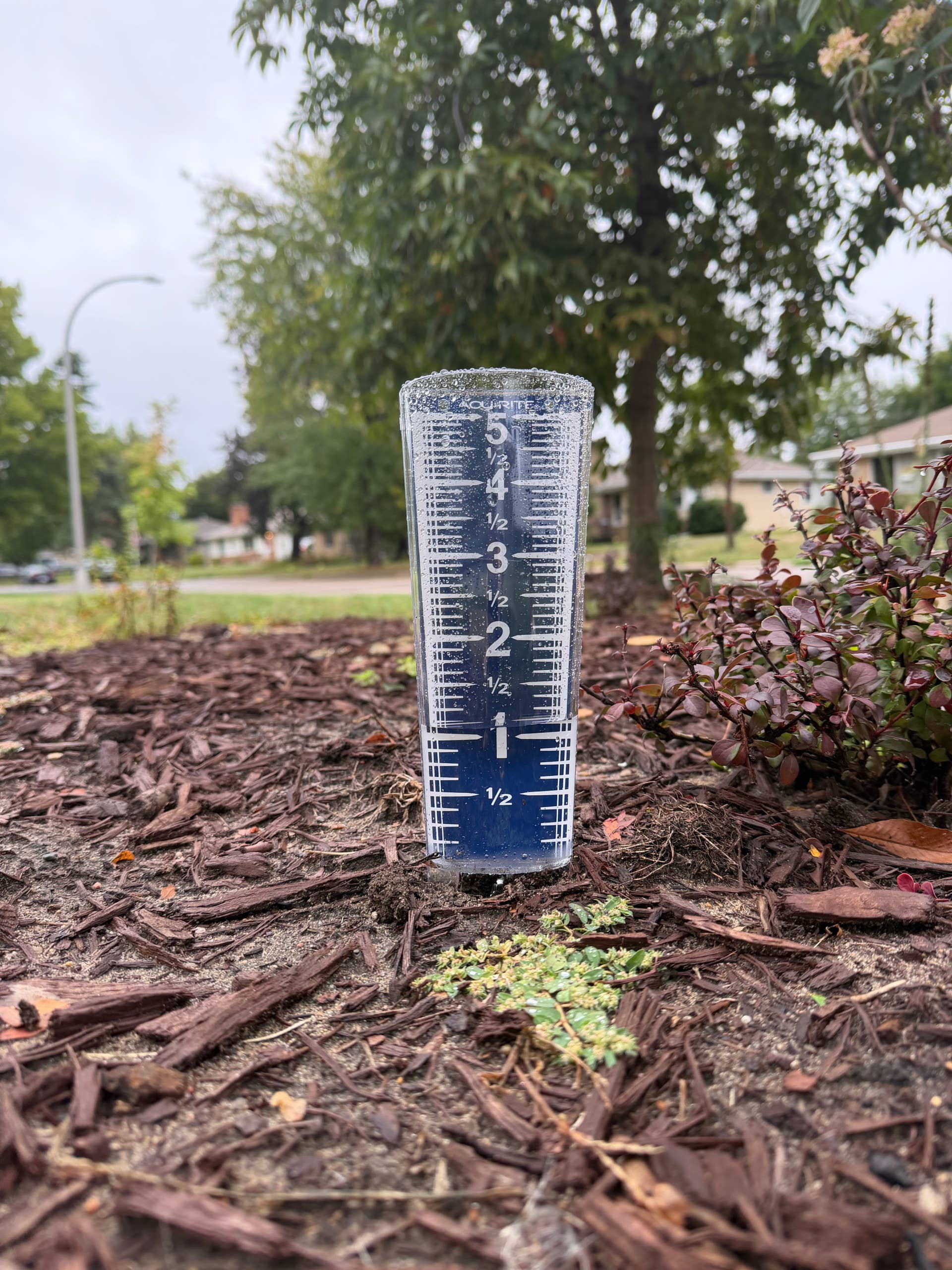 How much rain fell in Minnesota on Tuesday, Sept. 29? - Bring Me The News