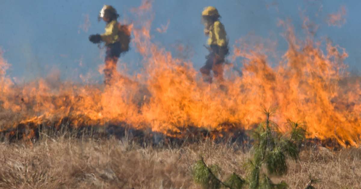DNR Most of Minnesota facing 'extreme fire danger' Bring Me The News