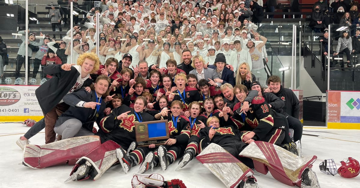 6 more schools advance to MN boys' state hockey tournament Bring Me