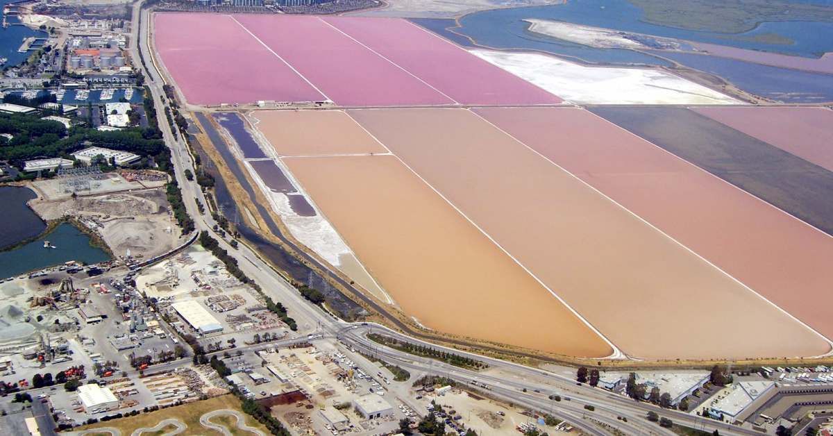 Bloomberg Global food inflation pushes Cargill family members higher in billionaires list