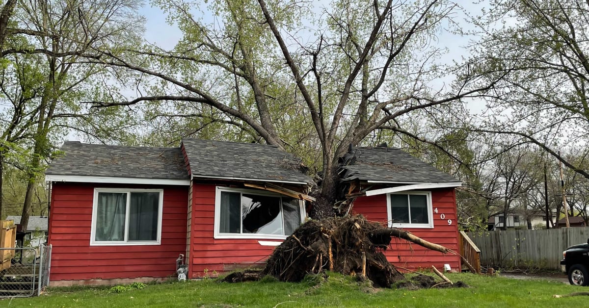 Storm Fells Tree In Coon Rapids Splitting House In Two Bring Me The News